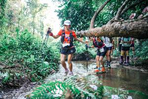 BIB: 
                            <button type="button" onclick="openModal(25454396)" class="btn btn-primary btn-sm float-right btn-popup" data-toggle="modal" data-target=".modal-high-quality">
                        <i class="fas fa-shopping-cart"></i> Add to Cart
                    </button>
                                            <button type="button" onclick="isThisMe(25454396, true)" class="btn btn-success btn-sm float-right btn-popup btn-isme hidden" data-toggle="tooltip" data-placement="bottom" title="นี่คือรูปของคุณใช่ไหม คลิกที่นี่เพื่อเอาเข้าอัลบั้ม">
                        <i class="fas fa-plus"></i> Add to album
                    </button>
                    <button type="button" onclick="isThisMe(25454396, false)" class="btn btn-warning btn-sm float-right btn-popup btn-isnotme hidden">
                        <i class="fas fa-ban"></i> Remove from album
                    </button>